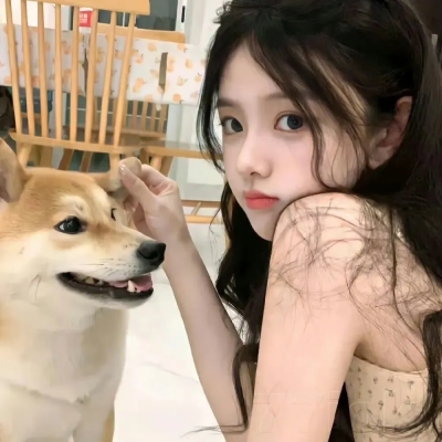 我进入了低价世界